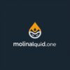 molinaliquid.one favicon